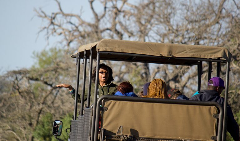 Conservation and Ecotourism Certificate