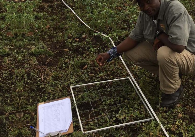 Field Research and Monitoring Techniques