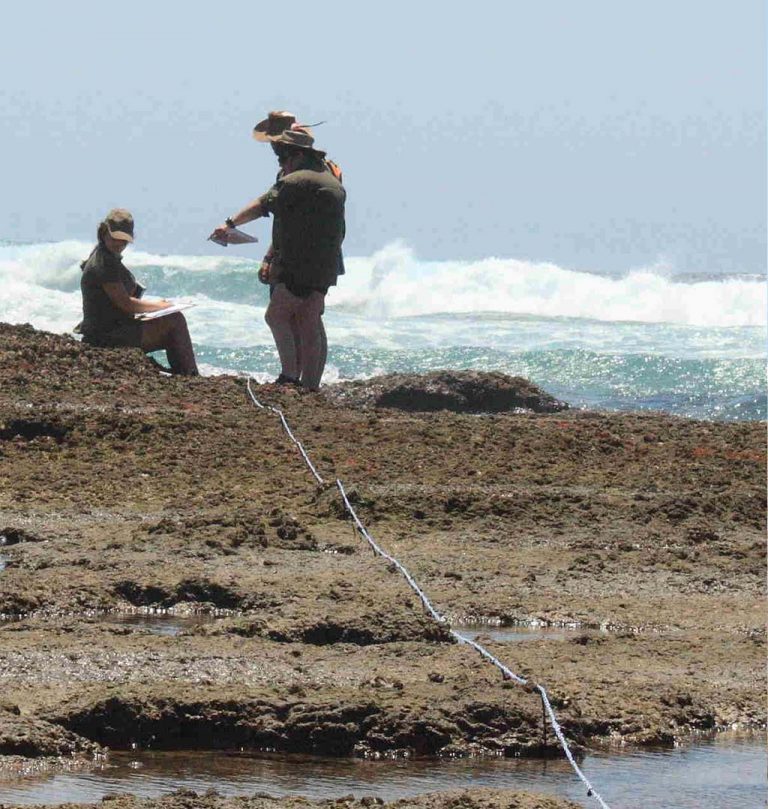 Field Research and Monitoring Techniques