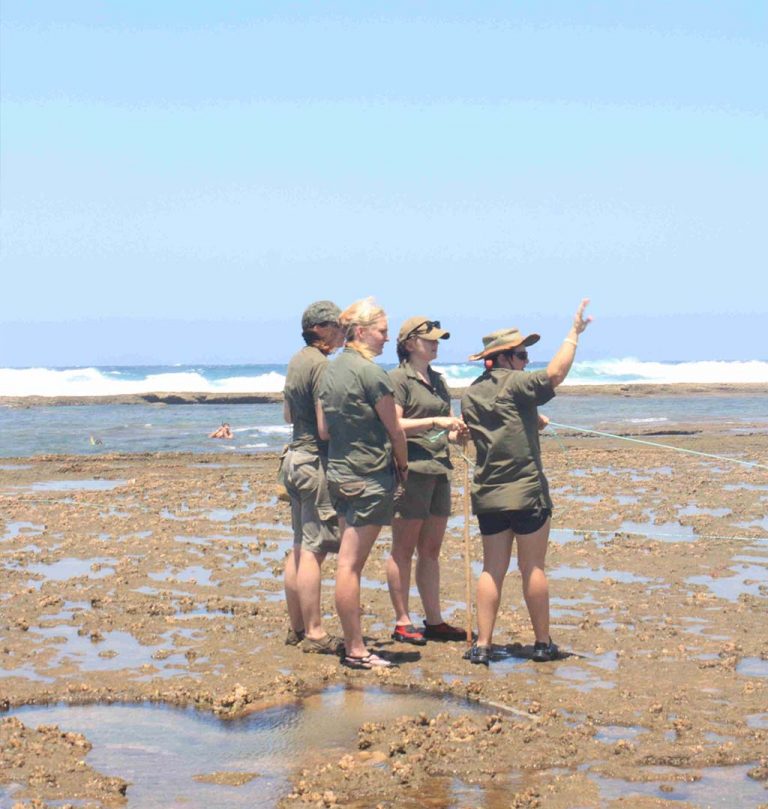 Field Research and Monitoring Techniques