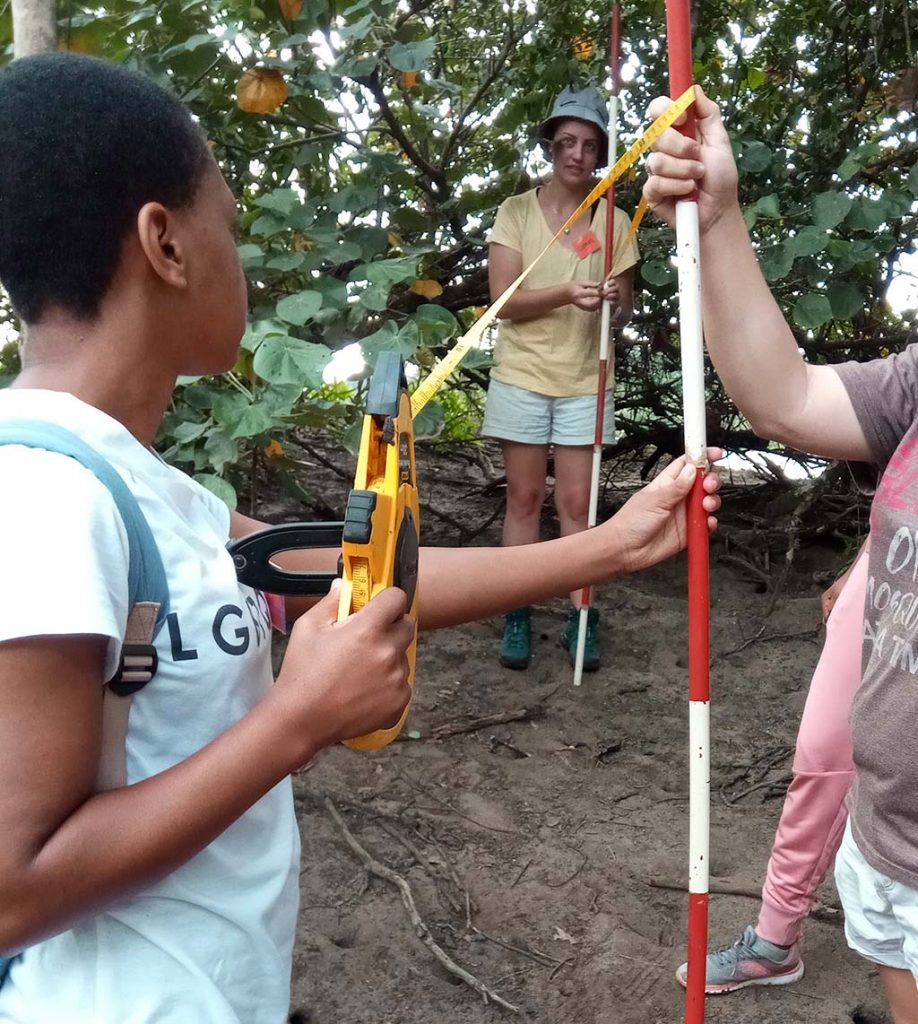 Field Research and Monitoring Techniques