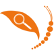 icon home courses 1