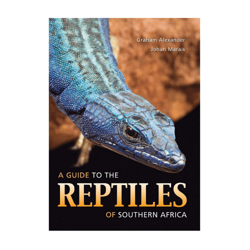 Reptiles