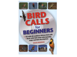 Bird Calls for Beginners