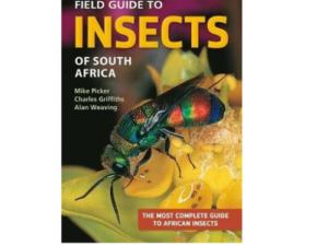 Field Guide to Insects