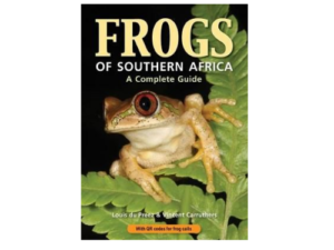 Frogs of Southern Africa