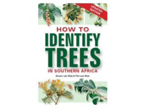 How to Identify Trees in Southern Africa