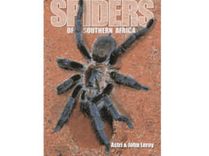 Spiders of Southern Africa