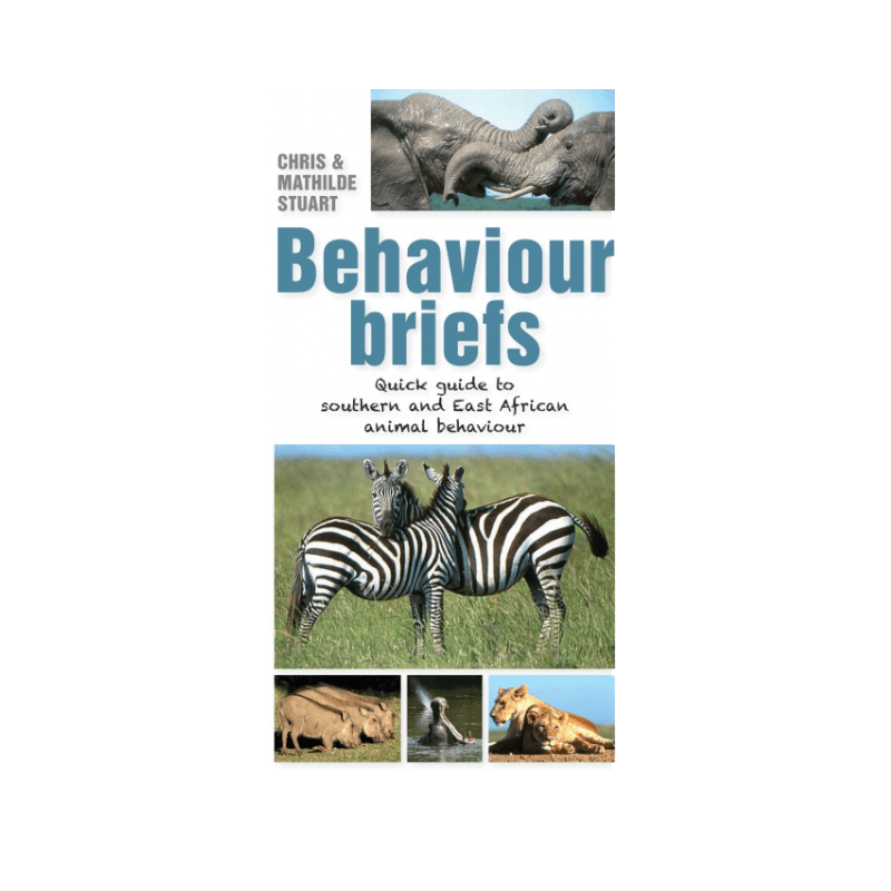 Behaviour Briefs